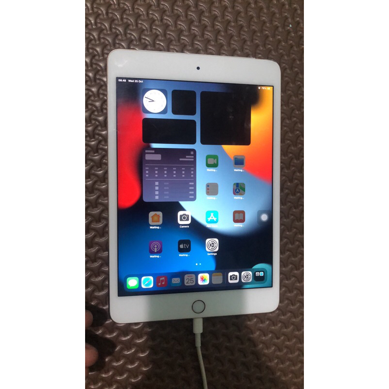 Ipad mini 4 mulus batangan