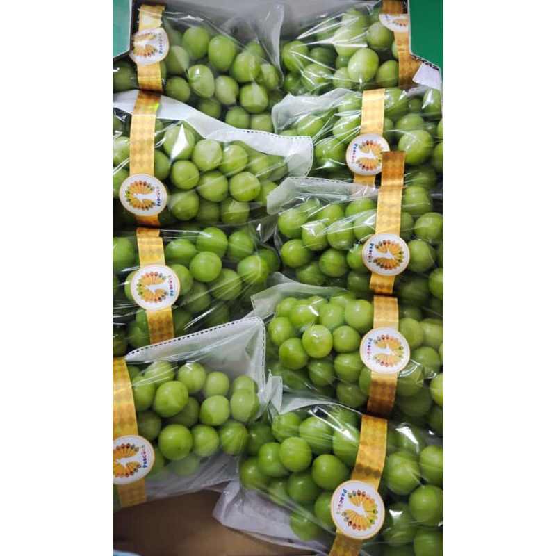 Anggur Hijau Shine Muscat 1 Dus (8 KG) Fresh Import