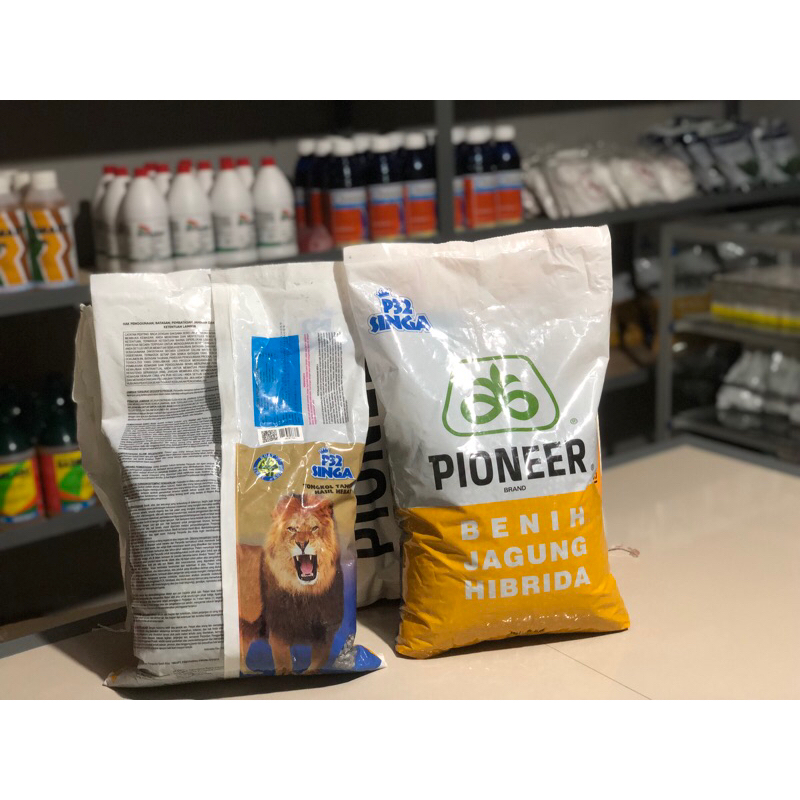 Pioneer P32 Cap Singa 1 Kg