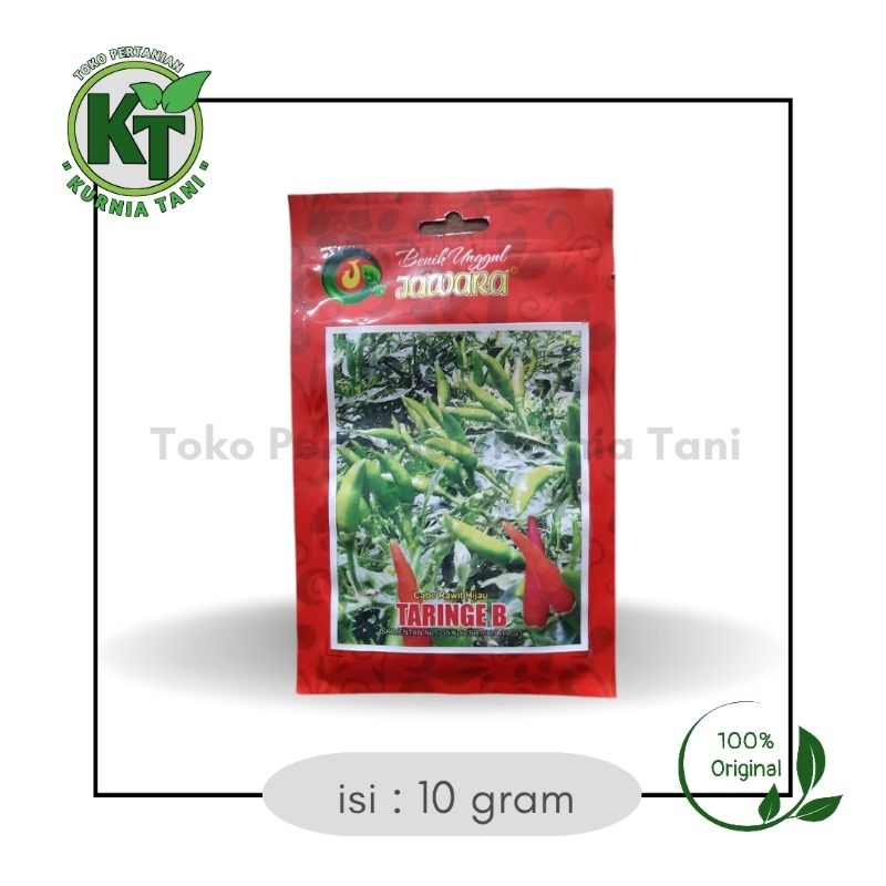 

CABAI RAWIT HIJAU TARINGE B