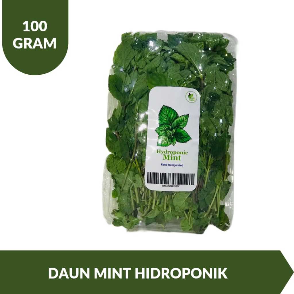 

Daun Mint Hidroponik 100 Gram