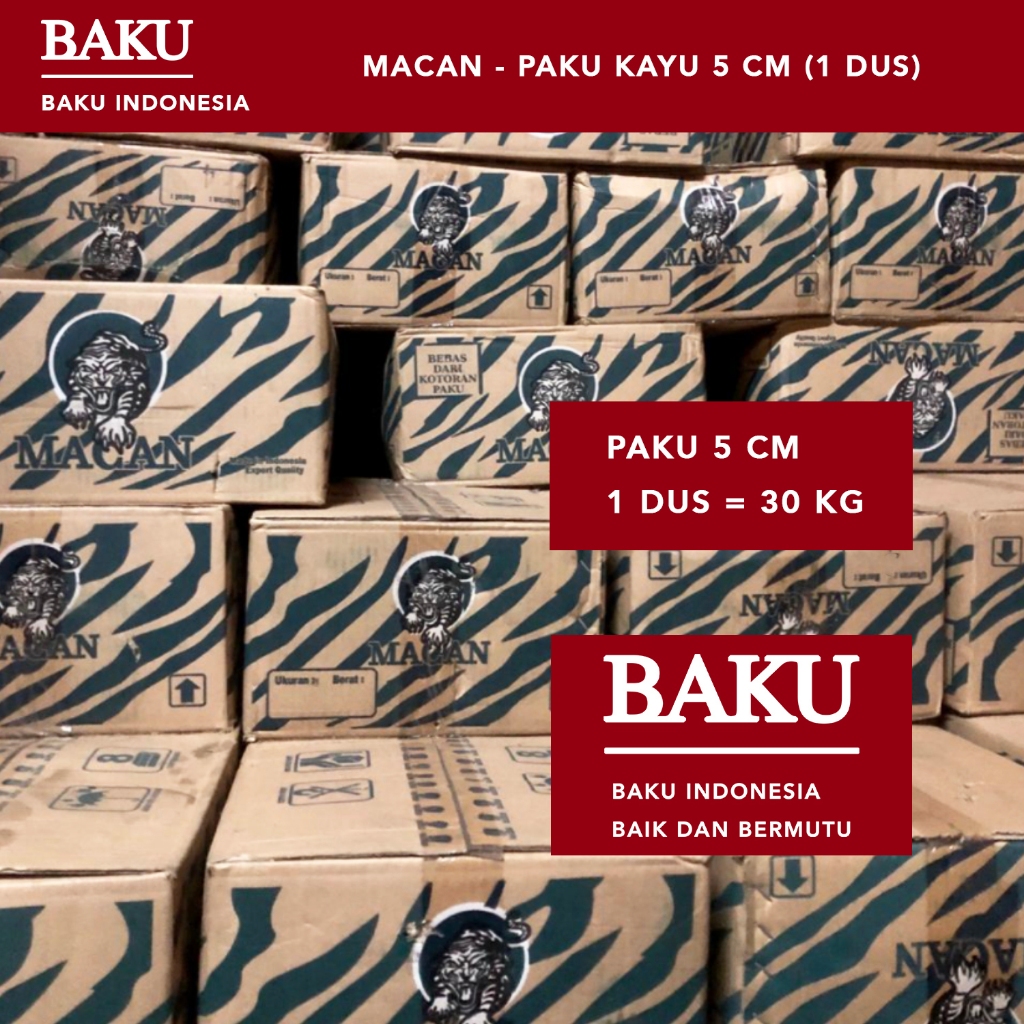 Paku Kayu 7cm - 1 Dus (Paku Papan, Kaso, Balok, Paku Serbaguna)