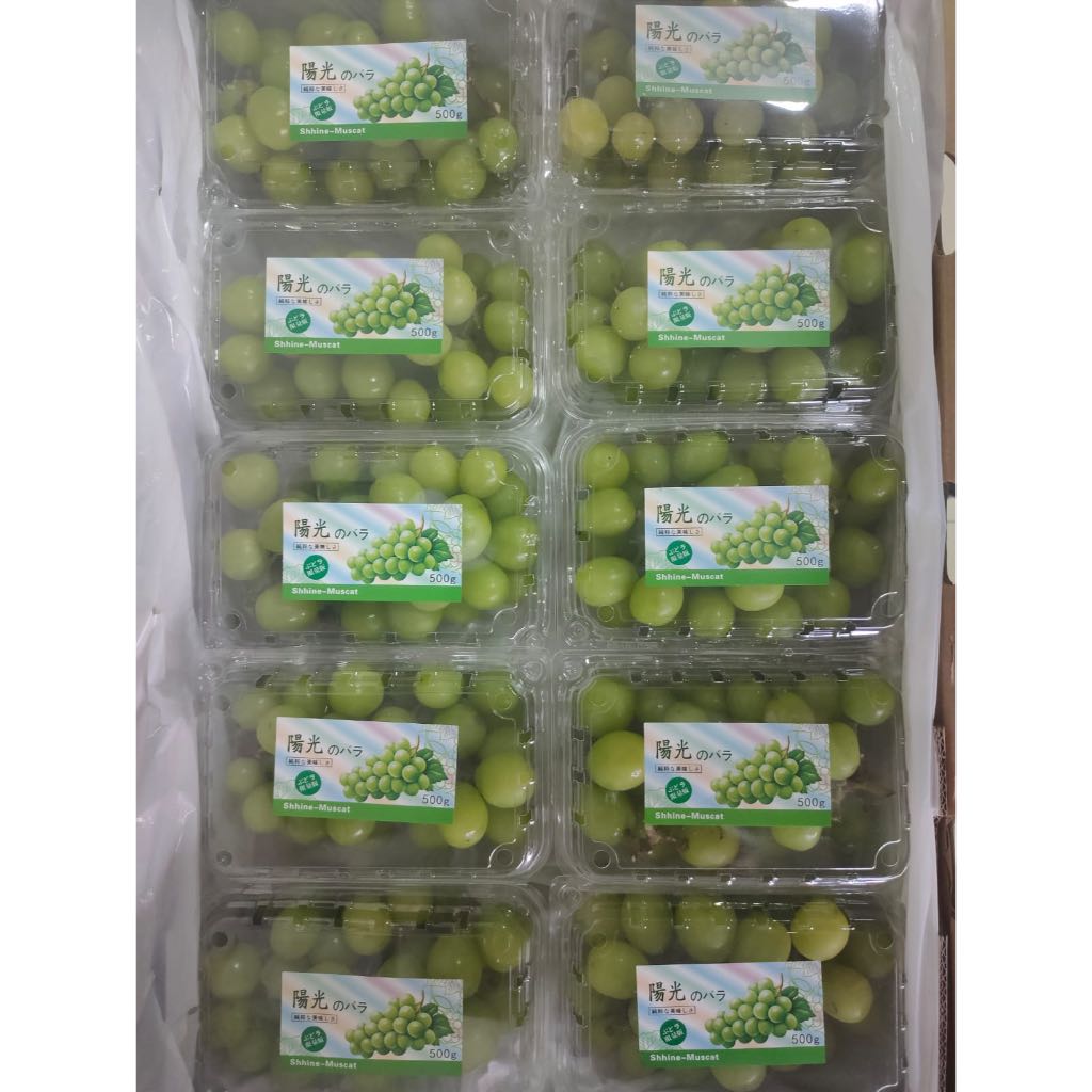 

Buah Anggur Shine Muscat Premium Hijau Fresh Import