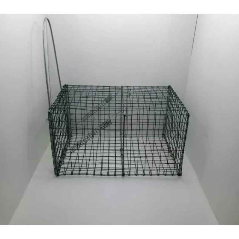 PERANGKAP TIKUS AMPUH UNTUK MENANGKAP TIKUS PERANGKAP KAWAT COD