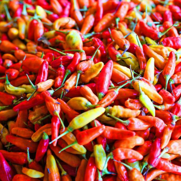 

JFVV7967 Cabe / Cabai Rawit Merah 500 gr