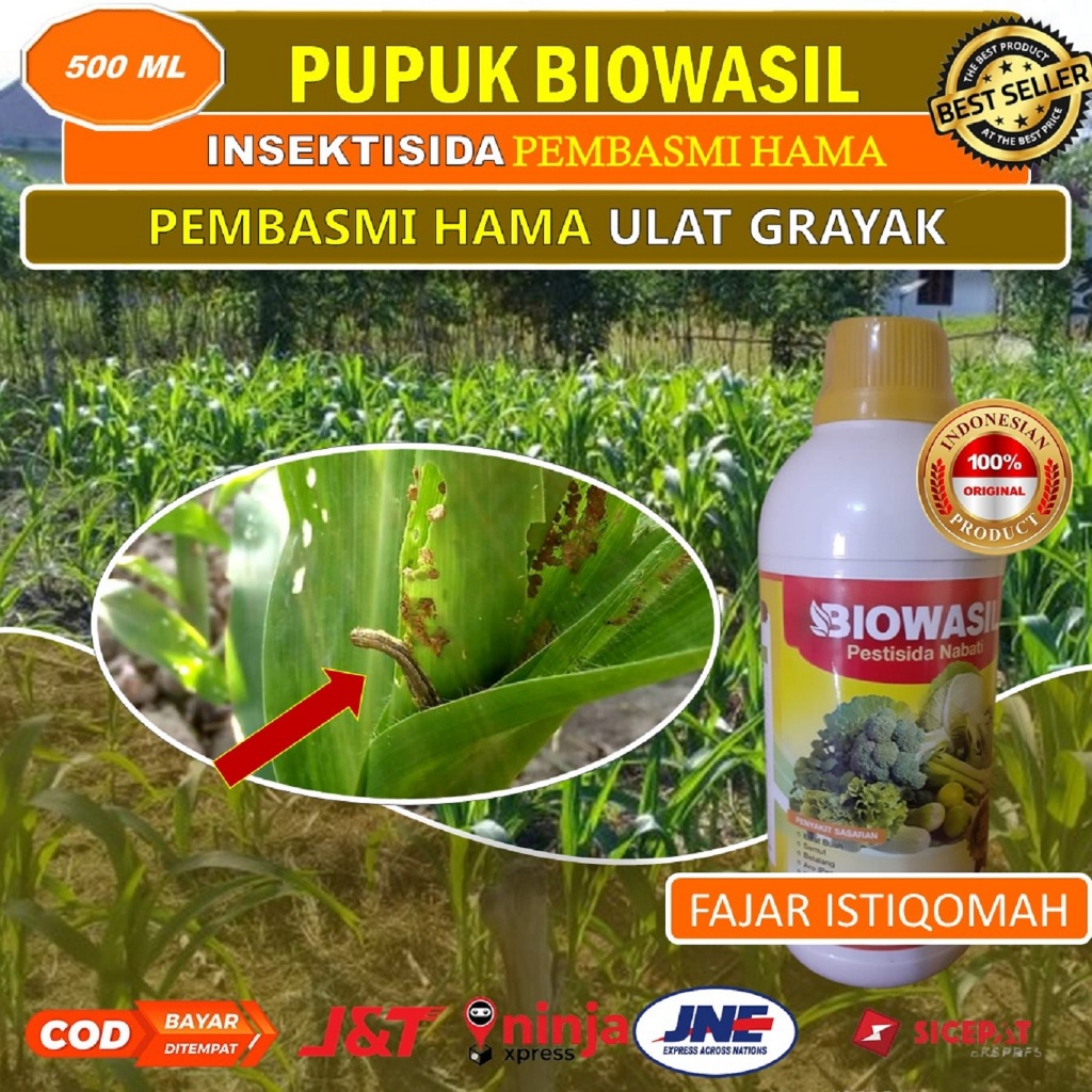 BIOWASIL insektisida ramah lingkungan isi 500 ml pengendali hama ulat grayak pada tanaman jagung, pe