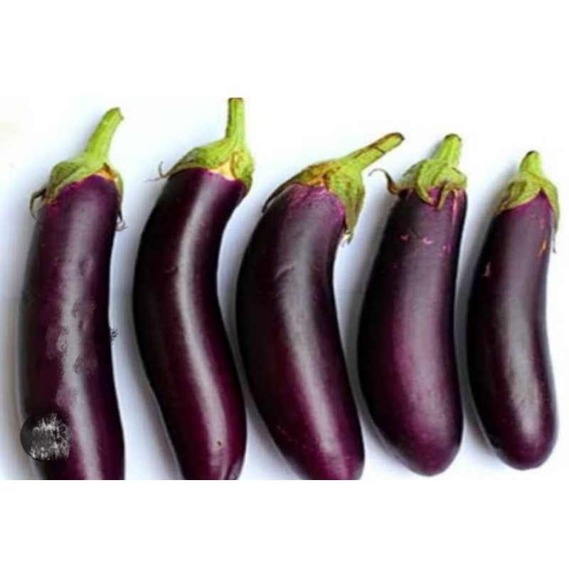 

TERONG UNGU Rp 4.000 - 12.000
