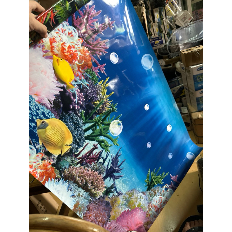 Background gambar aquarium 60cm / walpaper aquarium