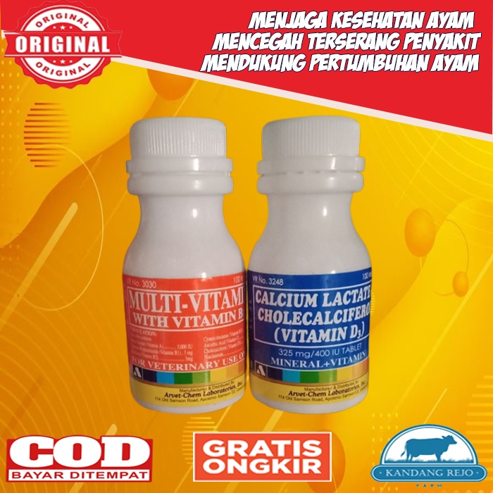 Paket MULTIVITAMIN & CALCIUM LACTATE Ayam Bangkok Filipin Laga Aduan Original