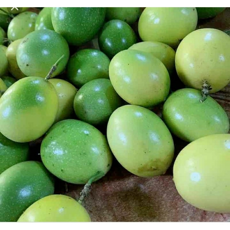 

buah markisa segar masih pershh 1kg