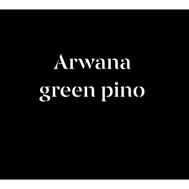 mainan,arwana green pino