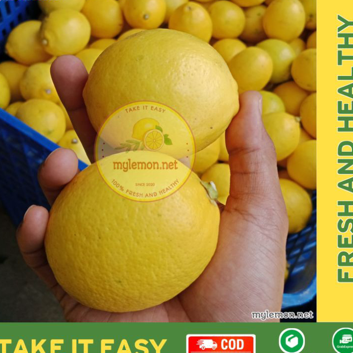

Best Seller Lemon California Fresh 1 Kg / 1000 gram Isi 7-12 | Cocok Untuk Infused Water | [MYLEMON.NET] Seller