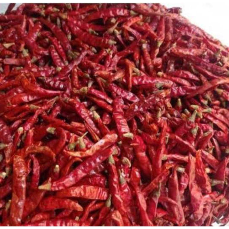 

Cabe kering grade A,pedesnya nylekit berat 100 gr