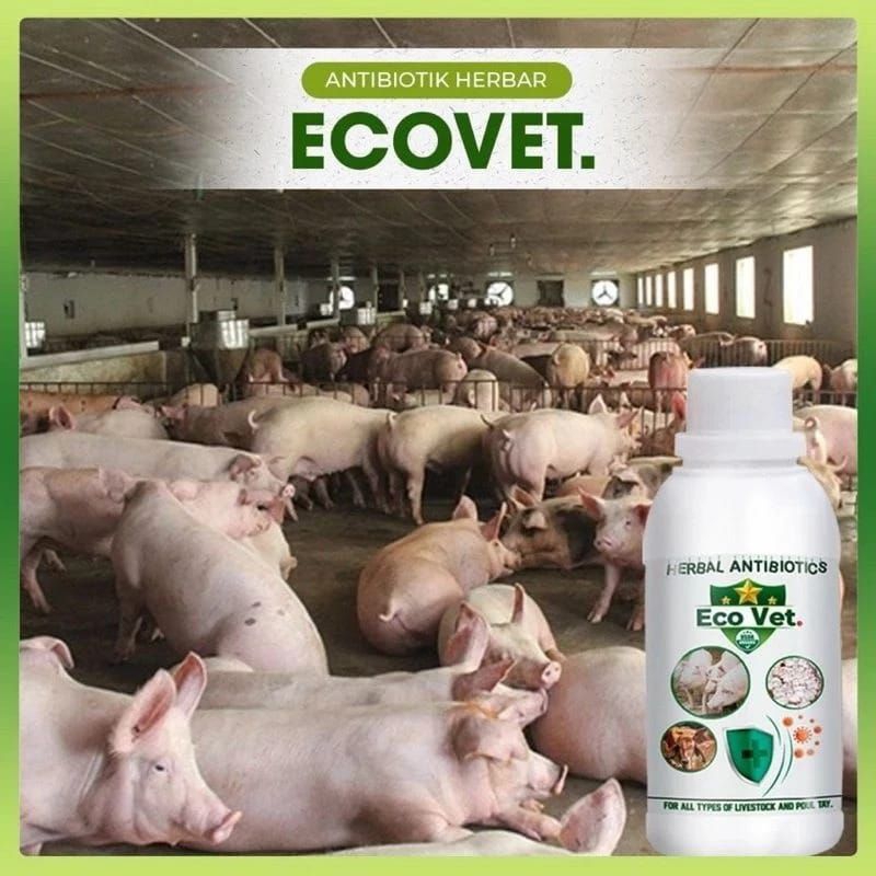 ANTIBIOTIK HERBAL//// ECOVET