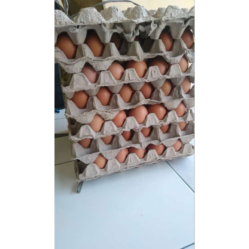 

telor ayam negeri 25.000/kg