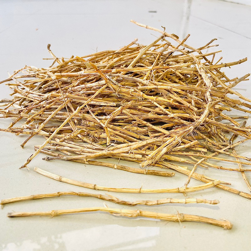 

Akar alang alang kering alami bersih kualitas oke