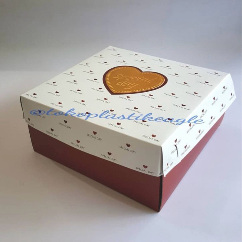 

[isi 10pcs] Dus Special Day N96 (16x16x7cm)