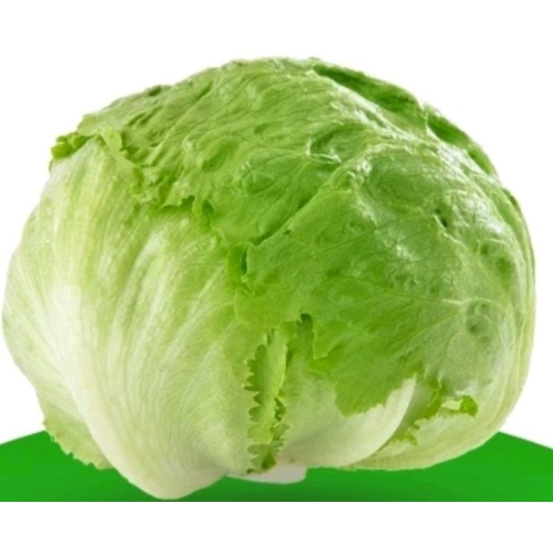 

Letuce fresh