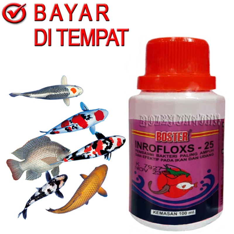 INROFLOXS 25 BOSTER OBAT JAMUR IKAN GURAMI MAS PATIN NILA LELE PATIN