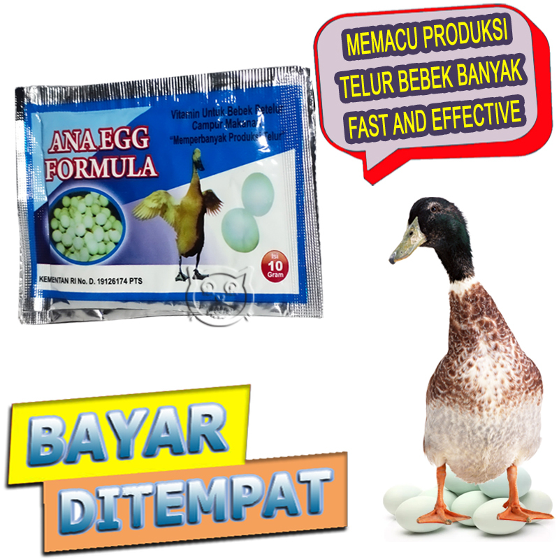 Ana Egg Vitamin Memperbanyak Produksi Telur Bebek Angsa