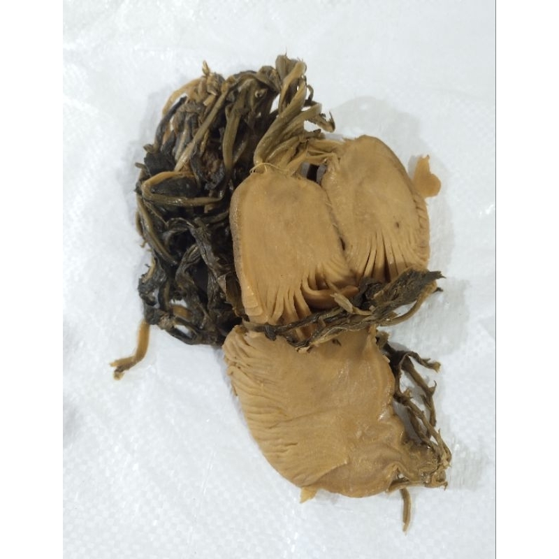 

Sayur Lobak Kohlrabi Import RRT 300Gr