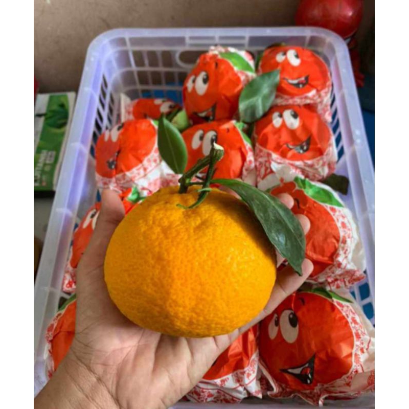 

Jeruk Dekopon Fresh Import 1 keranjang