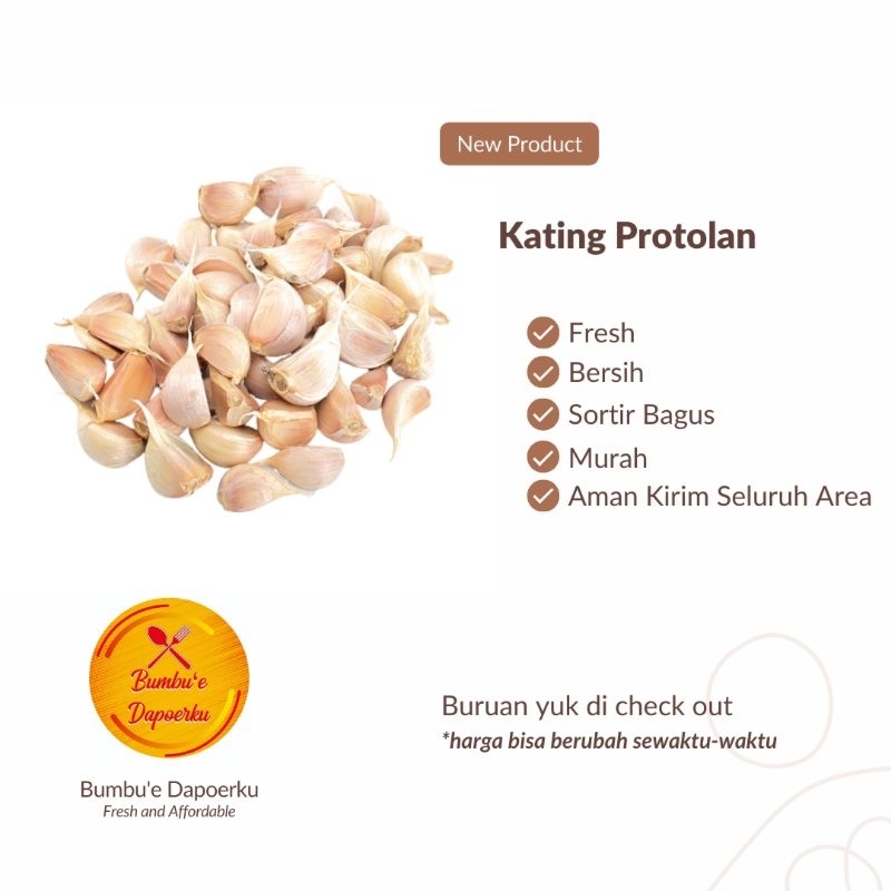 

Bawang Putih Protolan | Sortir Bagus | Panen Baru | Fresh Product