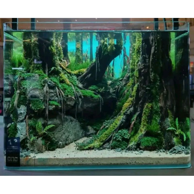 Hardscape Aquascape 40cm dan 50cm