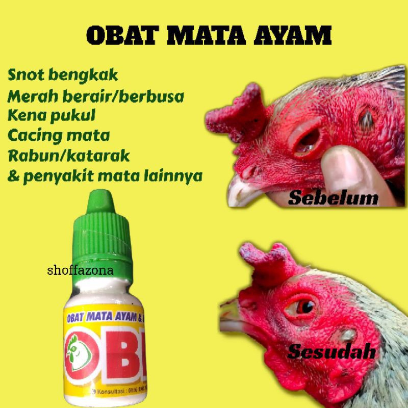 OBK MATA OBAT MATA AYAM ampuh