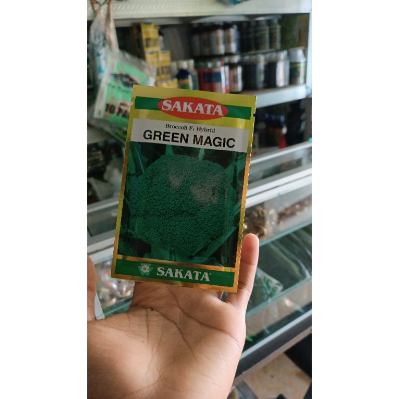 benih brokoli gren magic sakata original