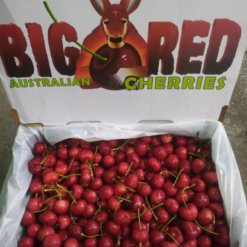 

Ceri Merah Import | Ceri Big Red 500 Grm