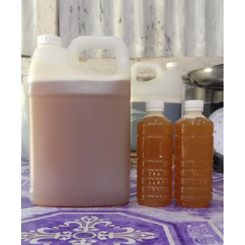 

madu dorsata kemasan 5kg