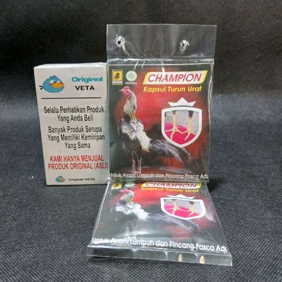CHAMPION JALU AJI SACHET OBAT TURUN URAT AYAM PASKA ADU LUMPUH PINCANG TEDUN