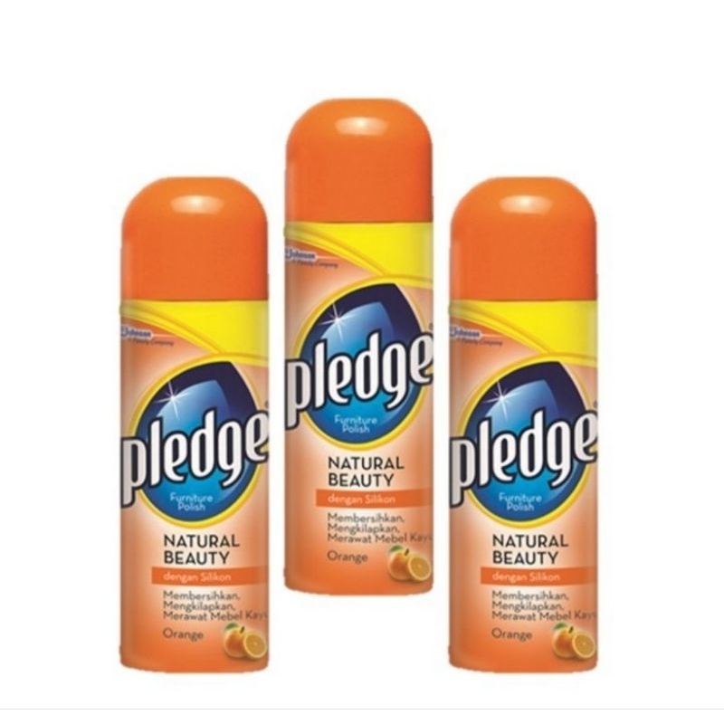 PLEDGE/PENGKILAP KAYU DAN FURNITURE