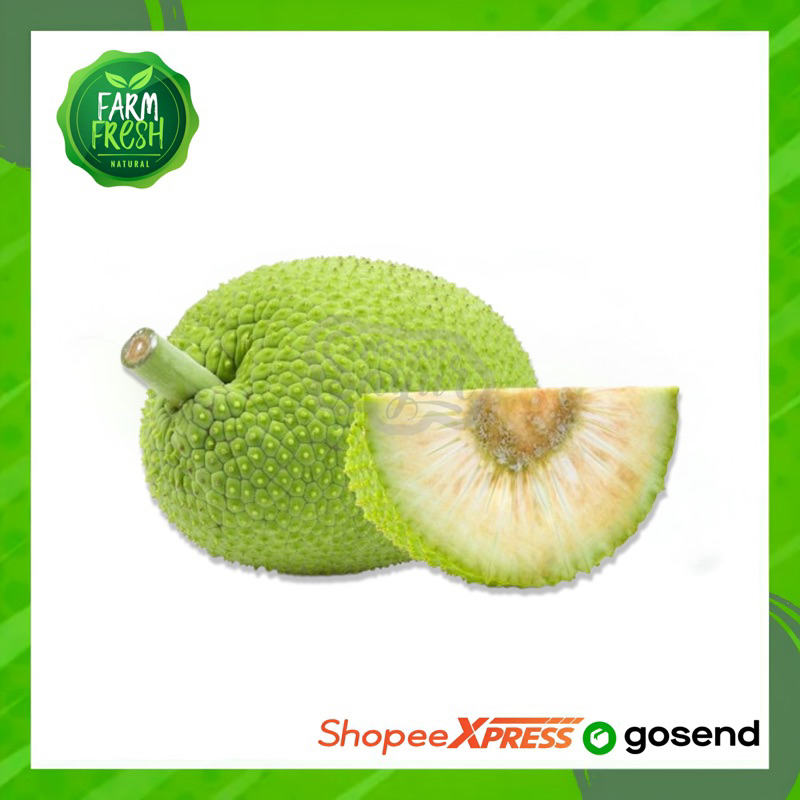 

KIRIM INSTAN Buah Sukun / Kulur / Per Biji