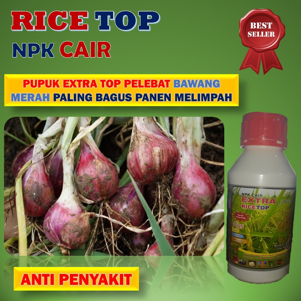 COD RICETOP 500ML Pupuk untuk melebatkan umbi bawang merah terbaik - Pupuk npk cair bawang merah