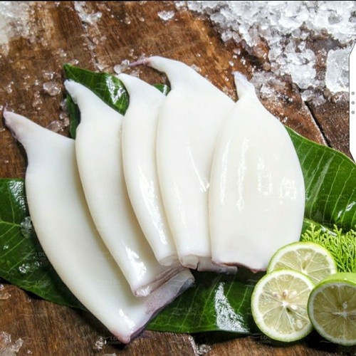 

Cumi Kupas / Cumi Tube / Cumi Frozen