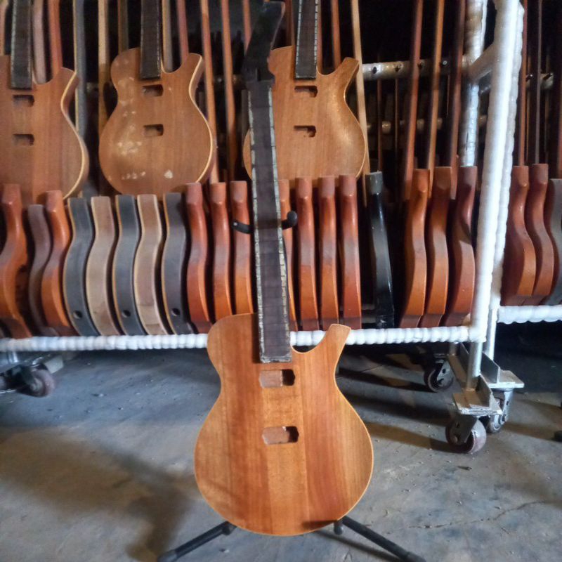 Gitar Parker Bodi Neck Original Parker Pm10