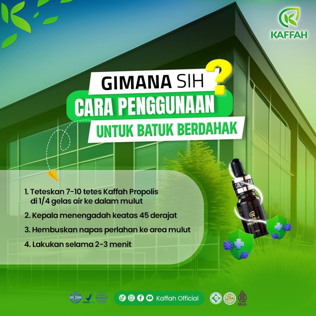 Obat Batuk Berdahak Dewasa dan Anak Herbal Kaffah Propolis