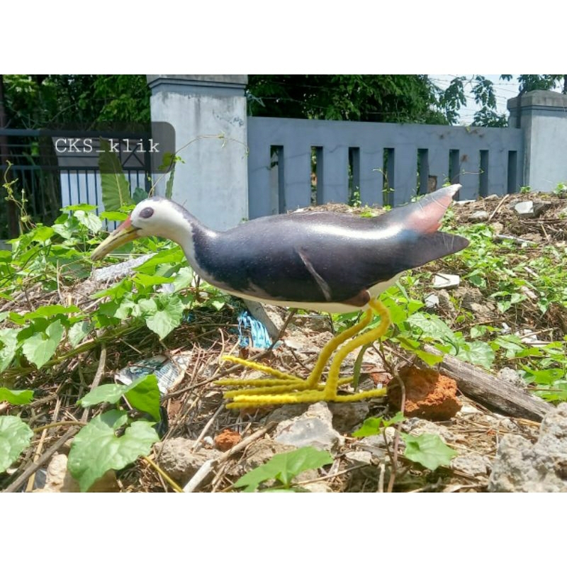 Jontrot Burung Kareo / Mainan / Patung ruak ruak