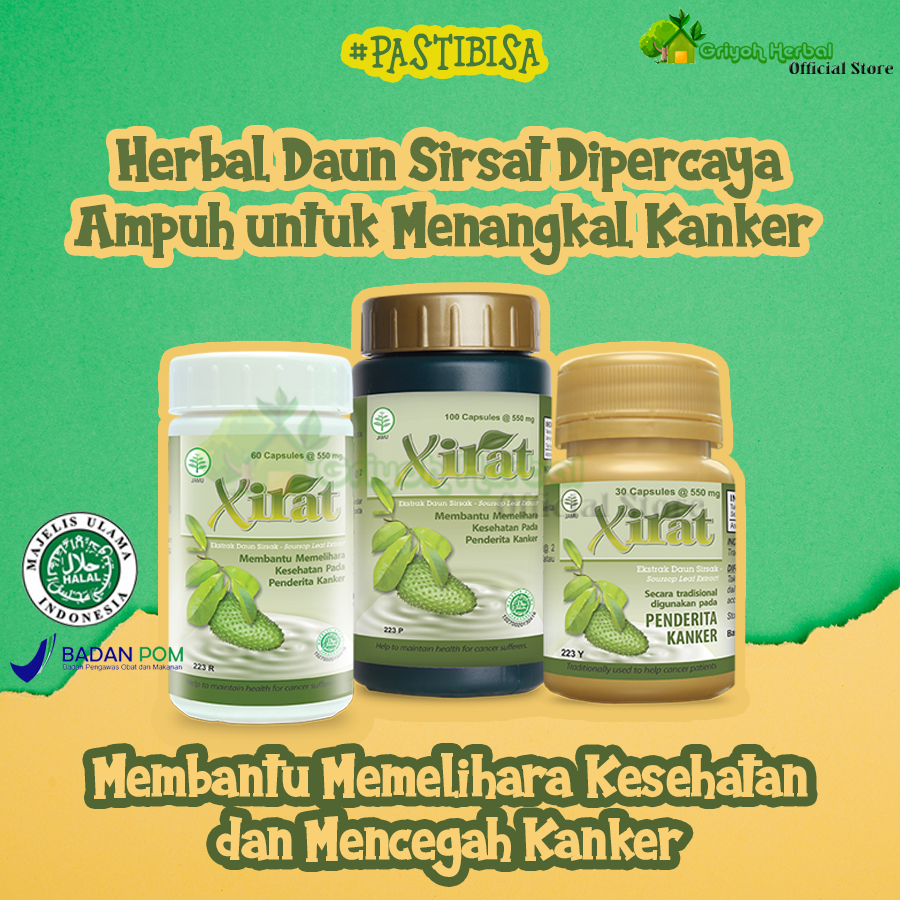 Xirat  100 60 30 Kapsul Borobudur Herbal Ekstrak  Daun Sirsat Anti Kanker Halal  BPOM
