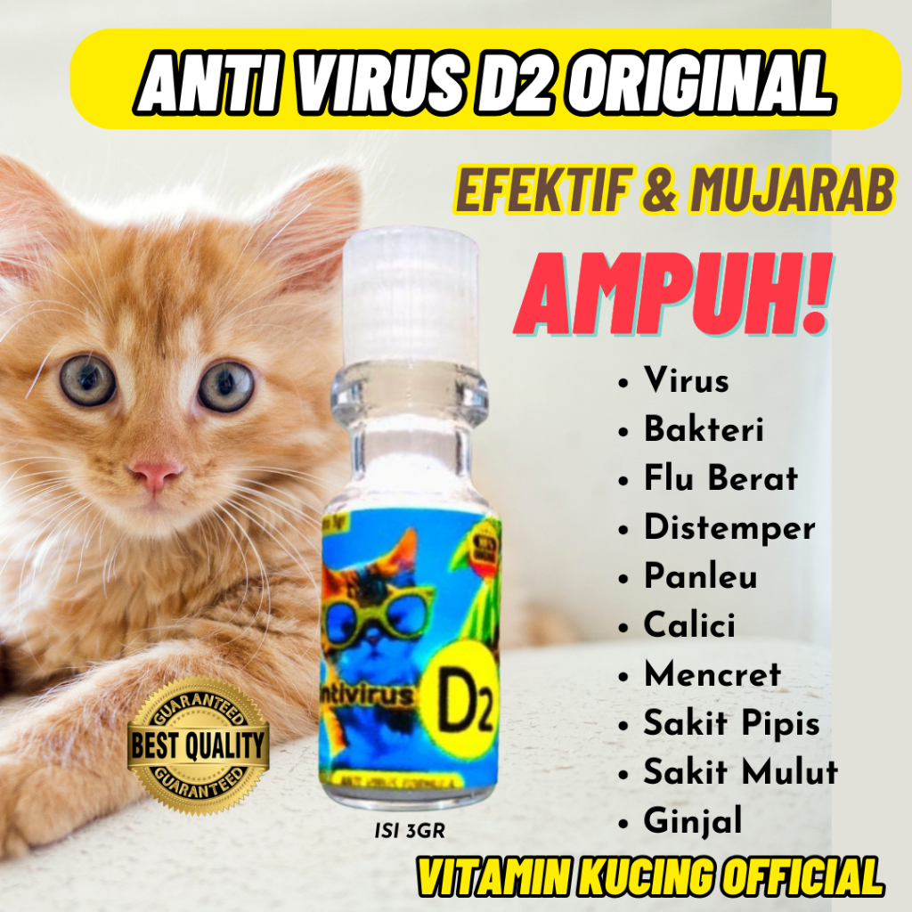 Vitamin Kucing Obat Virus Kucing Obat Kucing Lemas Obat Kucing Lumpuh Vitamin Kucing Bulu Vitamin Ku