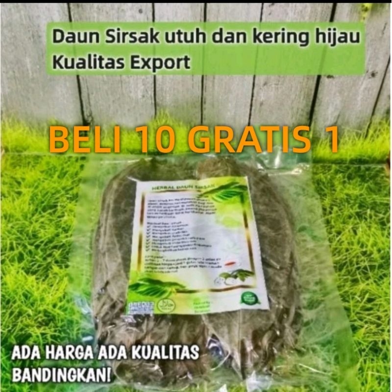 

Daun Sirsak Kering ( Barang kualitas Export Bisa COD )