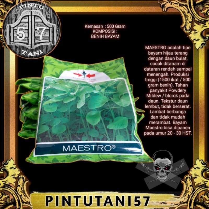 BENIH BAYAM MAESTRO PANAH MERAH 500GR