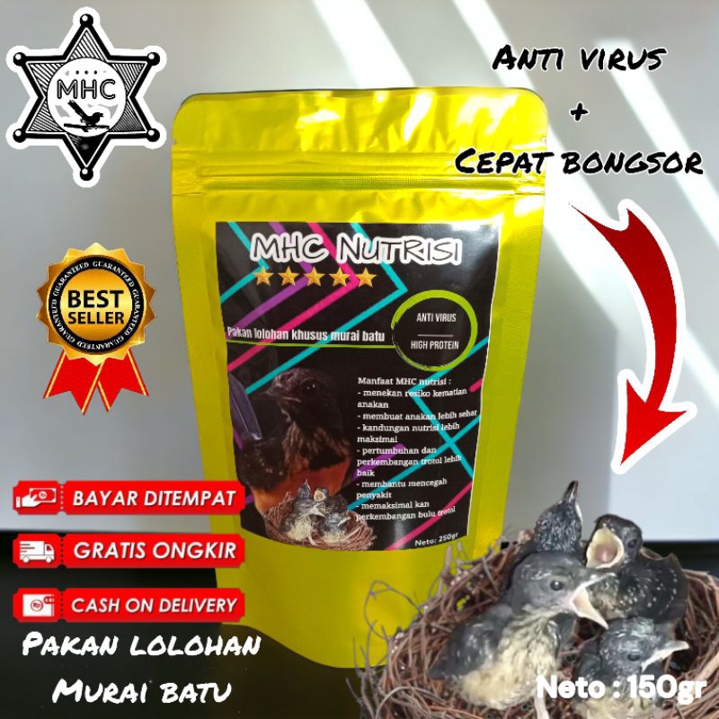 mhc nutrisi pakan lolohan murai batu