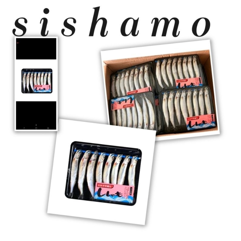 

SHISAMO MURAH ENAK (SIP)