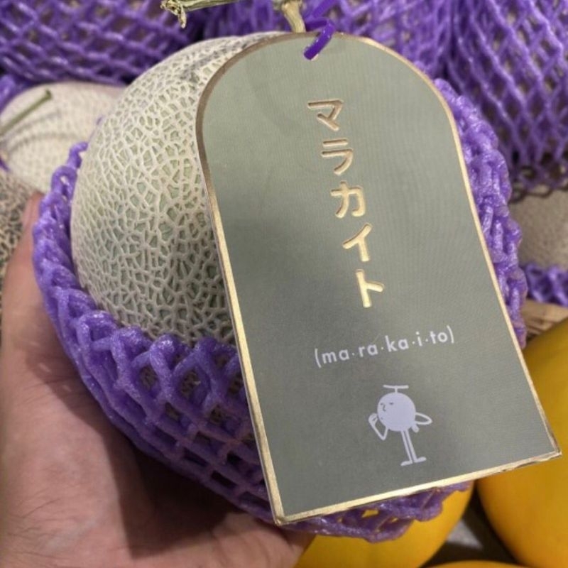 Buah Melon Marakaito Jepang Daging Hijau