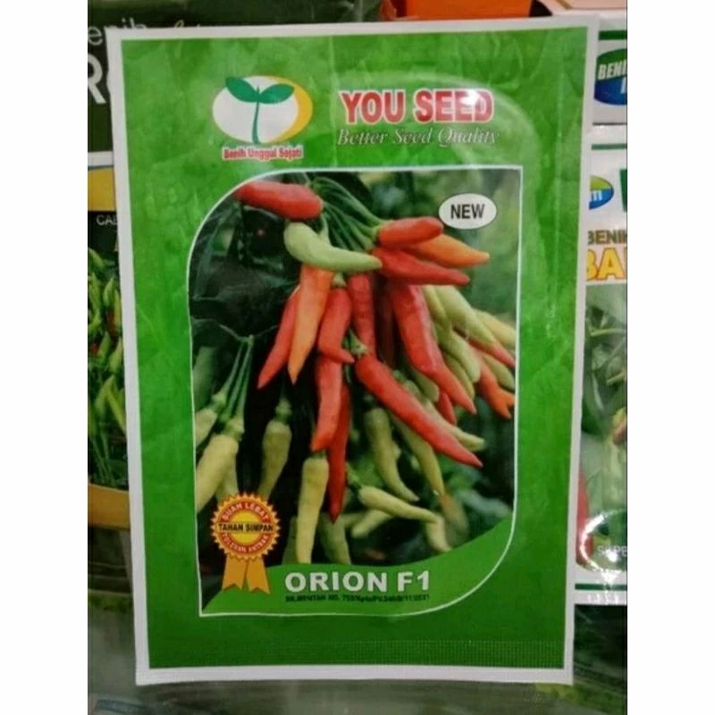 100BIJI CABE RAWIT DOMPOLAN ORION F1 PEDASSS