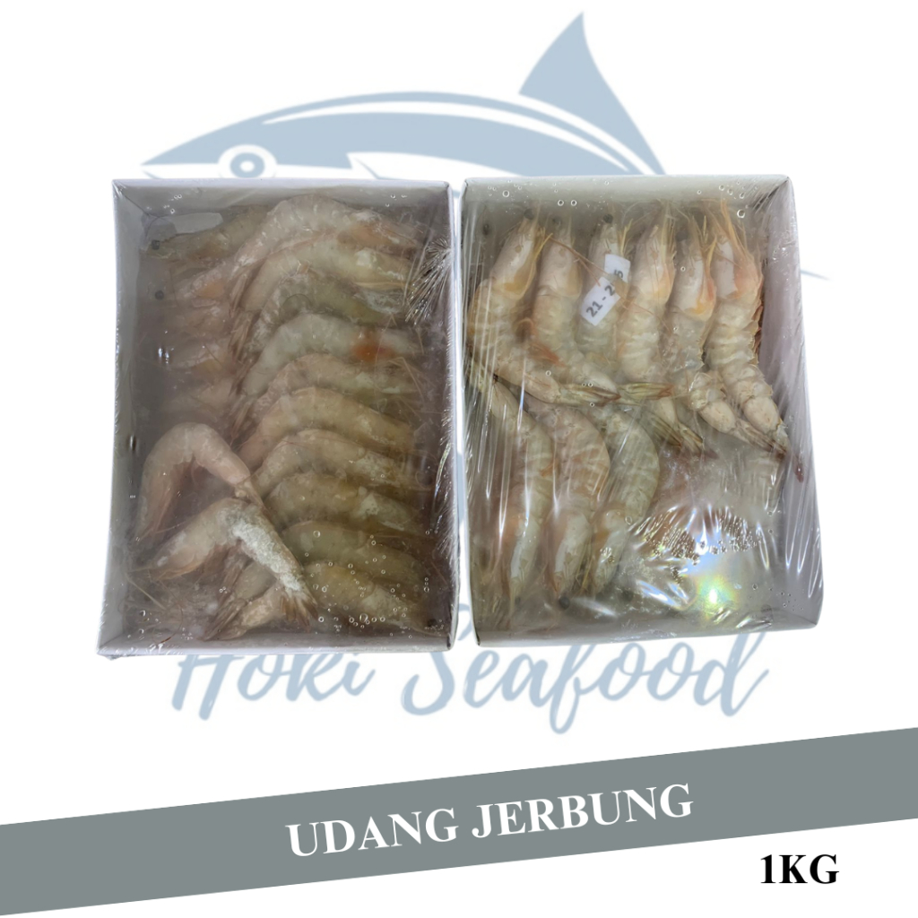 

Udang Jerbung Laut Fresh Segar Frozen / Udang Laut / 1 KG