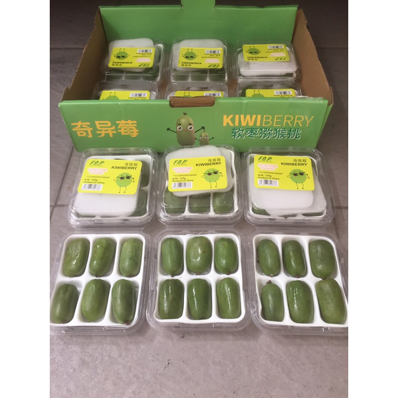 Buah Kiwi Berry 1 Dus (12 Pack) Fresh Import
